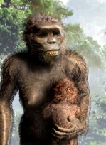 Australopithecus afarensis 4-3 млн. лет