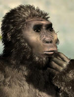 Kenyanthropus platyops 3,5 млн. лет
