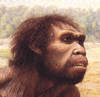 Homo ergaster 1,9-1,6 млн. лет