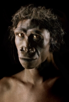 Homo erectus 1,5 млн. лет