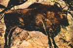 2 Наскальное изображение бизона