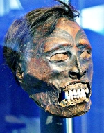 Новозеланская мумия